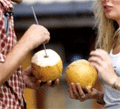 Free king coconuts , Sri Lanka
